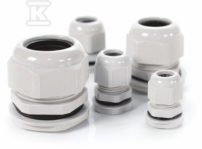 PG-42 IP68 DŁAWNICA (30-38MM) OPAK=1SZT (OPK)