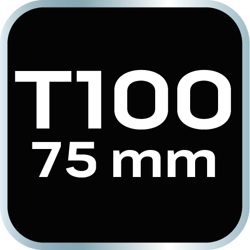 Końcówka TORX T100 x 75 mm, S2 x 2 szt.