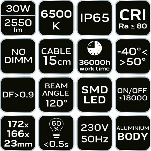 Reflektor SMD 30W 2550 lm 230V