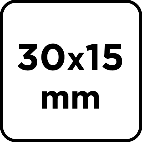 Ściernica listkowa trzpieniowa 30 x 15 x 6 mm, P100 (3 szt.)