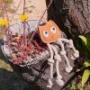GREEN & WILD'S Sid the Squid (Kałamarnica)
