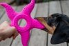 Kiwi Walker 2w1 OCTOPUS & STARFISH zielony