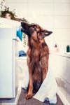 Mata LickiMat® Splash™ fioletowa