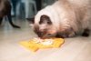 Mata LickiMat® Classic Felix™ zielona