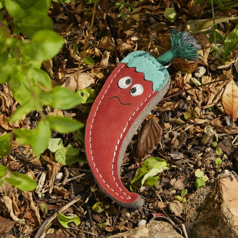 GREEN &amp; WILD'S Chad the Red Hot Chilli Pepper (Papryczka Chilli)