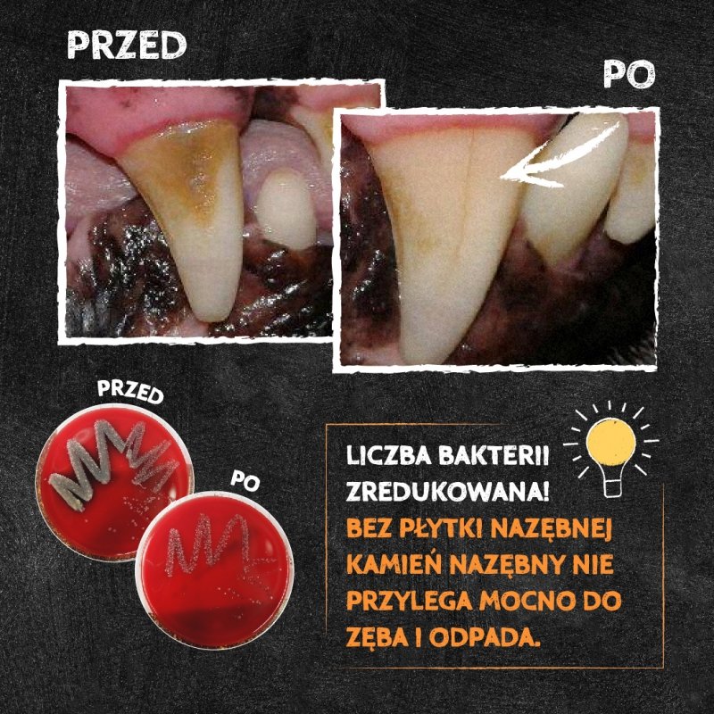 QCHEFS Puffed Stick do higieny jamy ustnej