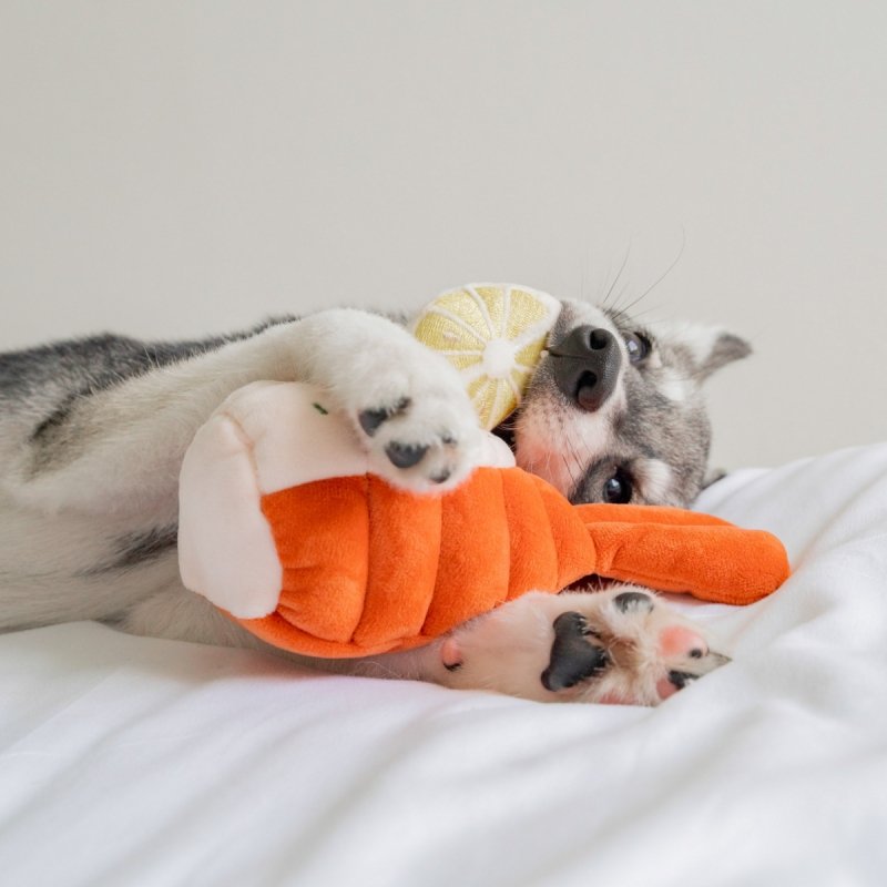 Pups &amp; Bubs GRILLED LOBSTER Grillowany Homar zabawka węchowa 