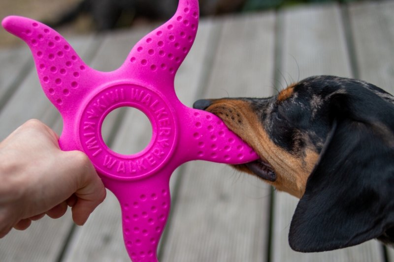 Kiwi Walker 2w1 OCTOPUS &amp; STARFISH zielony