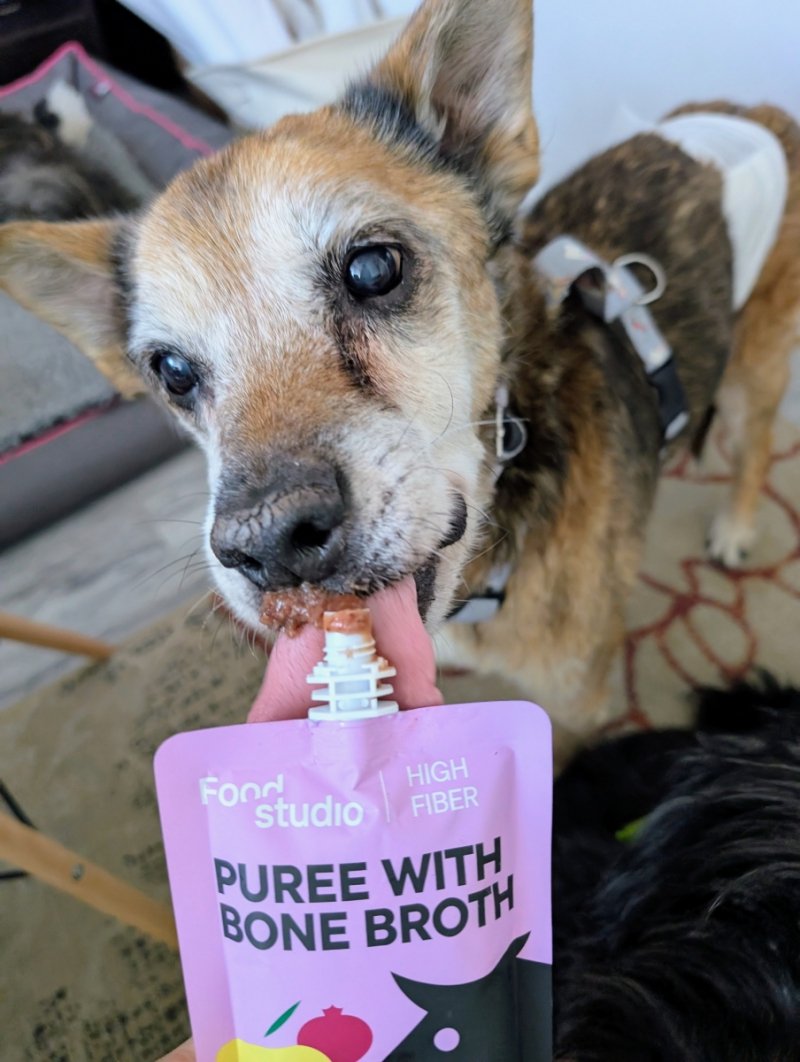 Food Studio Chefs PUREE dla psów WARZYWNO-OWOCOWE z marchewką, batatem, jabłkiem, żurawiną i tymiankiem 150ml