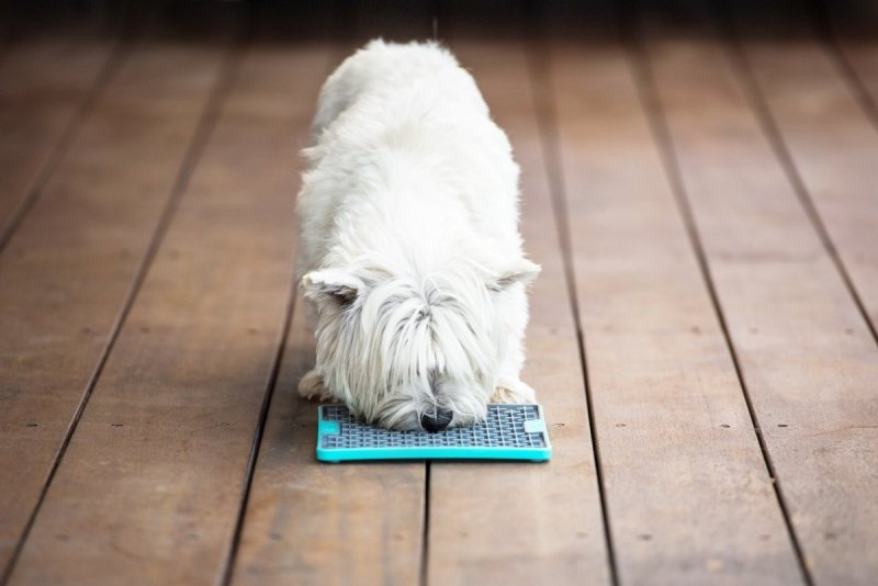 Mata LickiMat® Tuff™ Buddy™ czerwona