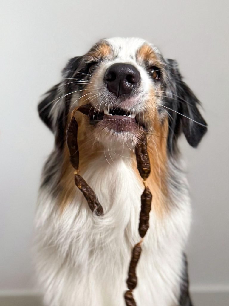 Cooka's Cookies BEEF SALAMIS kiełbaski wołowe 80g