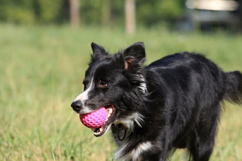 Kiwi Walker Let's Play! BALL Maxi piłka zielona