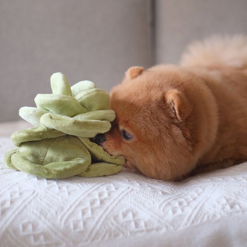 Pups &amp; Bubs SNUFFLE CABBAGE Kapusta zabawka węchowa 
