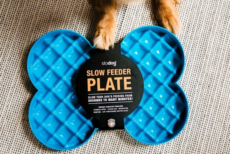 Miska spowalniająca jedzenie SLODOG® turkusowa