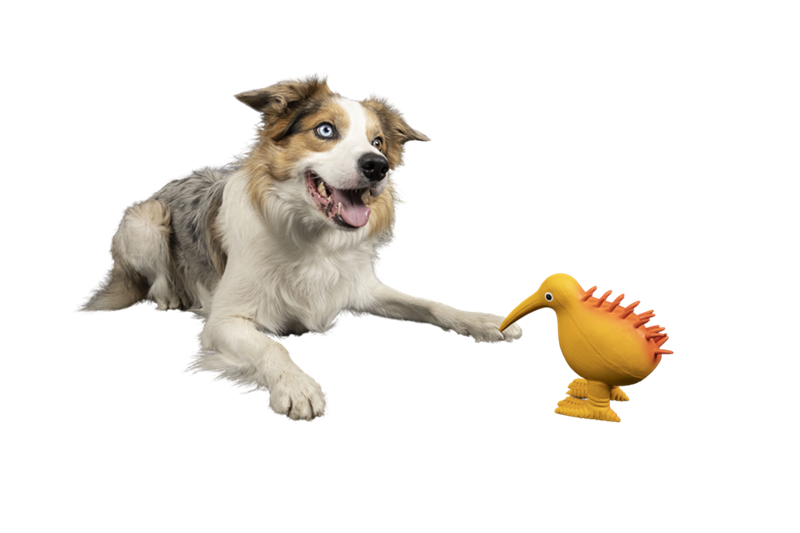 Kiwi Walker WHISTLE FIGURE zabawka dla psa L pomarańczowa