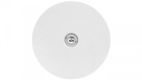 Oprawa awaryjna AXN IP65 ECO LED 1W 125lm (opt. otwarta) 1h jednozadaniowa biała AXNO/1W/E/1/SE/X/WH