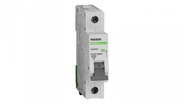 Wyłącznik nadprądowy 1P B 25A 6kA AC Ex9BN 100010