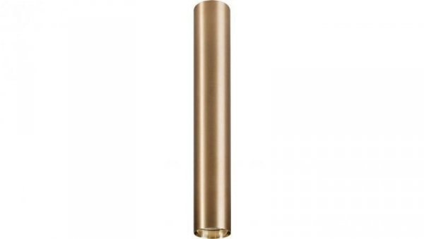SPOT TUBA EYE L 40CM MOSIĄDZ 8913 Nowodvorski