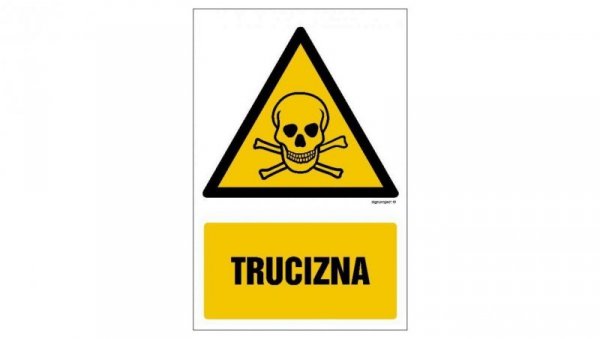 ZNAK - GF006 Trucizna 10 x 15 cm TS - Płyta TD foto.