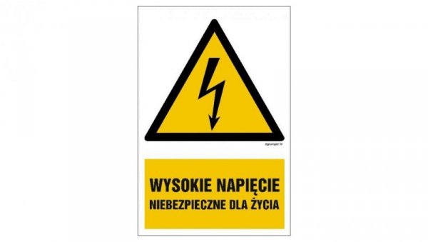 ZNAK - HA004 Wysokie napięcie niebezpieczne dla życia - arkusz 9 naklejek 5 x 7,5 cm FN - Folia samoprzylepna