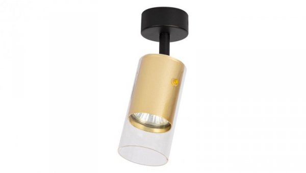Oprawa Ricky Spot Złoty 1xGU10 ML0689 Milagro