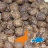 GROW Adult  Kaczka z Rybą S/M