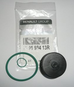 Original Gasfiltereinsatz für Renault Clio, Kangoo , 169198413R