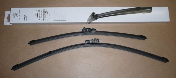 Original 1611631080