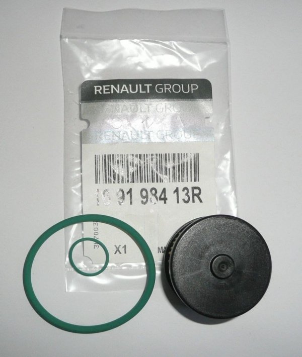 Original Gasfiltereinsatz für Renault Clio, Kangoo , 169198413R