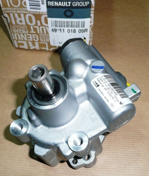 Original 491101809R