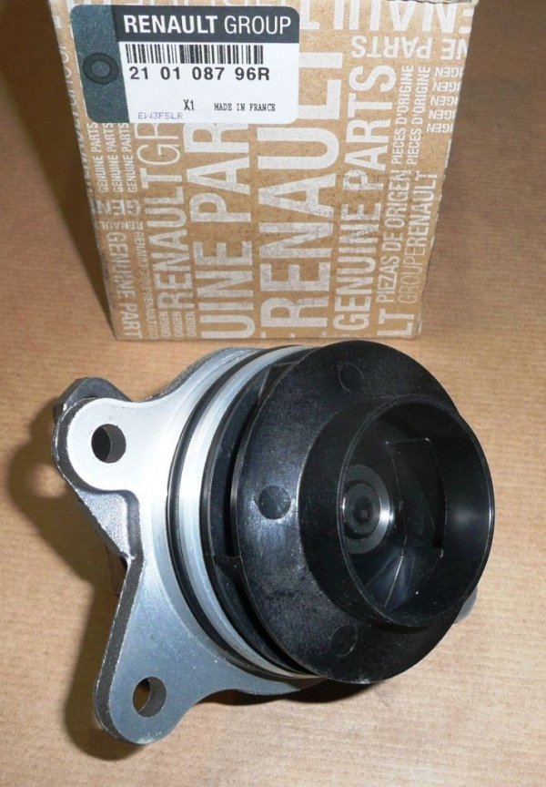 Original 210108796R