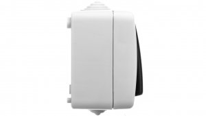 TEKNO Łącznik świecznikowy śrubowy 10AX 250V szary IP54 25351