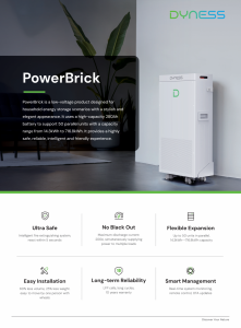 Solis S6-EH3P12K02-NV-YD-L 12 kW + Dyness PowerBrick 14,33 kWh - zestaw falownik hybrydowy 3-fazowy + magazyn energii HV