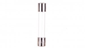Wkładka aparatowa 6,3x32mm 8A F /szybka/ 250V 006710081 /10szt./