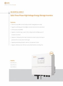 Solis S6-EH3P10K02-NV-YD-L 10 kW + Dyness PowerBox G2 10,24 kWh - zestaw falownik hybrydowy 3-fazowy + magazyn energii HV