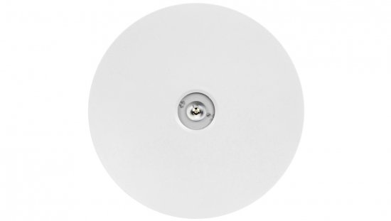 Oprawa awaryjna AXN IP65 ECO LED 1W 125lm (opt. otwarta) 1h jednozadaniowa biała AXNO/1W/E/1/SE/X/WH
