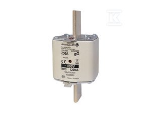 WKŁADKA BEZP NH3 250A 800V AC GG