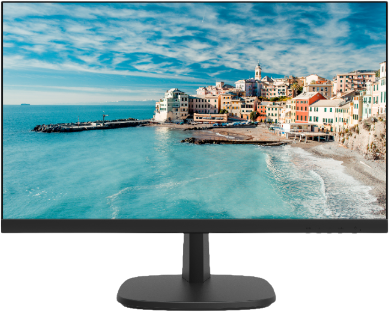 Monitor DS-D5024FN HIKVISION