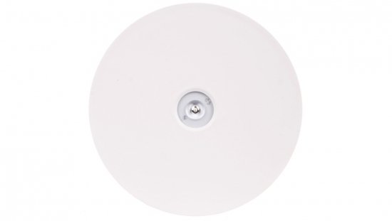Oprawa awaryjna AXN IP65 ECO LED 1W 125lm (opt. otwarta) 1h jednozadaniowa AT biała AXNO/1W/E/1/SE/AT/WH