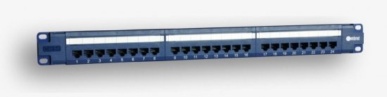 Panel 19 , 24xRJ45 UTP kat.5e (1U) z półką, niebieski (PoE)