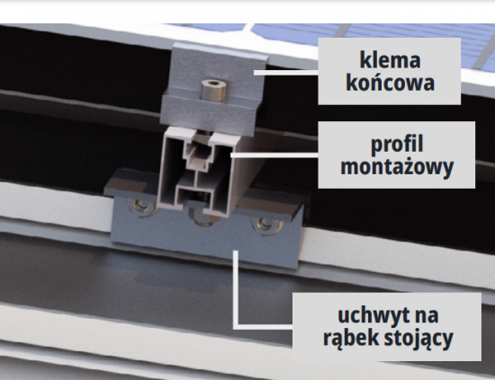 PG KLEMA KOŃCOWA 32 NATURA 