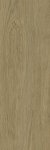 Paradyż Decorwood Honey 20x60