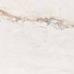 Pamesa Pisa Gold Mat 60x60