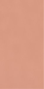 Paradyż Neve Creative Blush Ściana Połysk 19,8x9,8