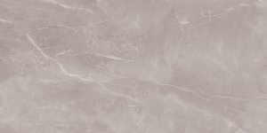 Armani Silver Mat 60x120