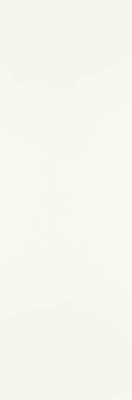 Paradyż Pure City Bianco B Struktura 29,8x89,8
