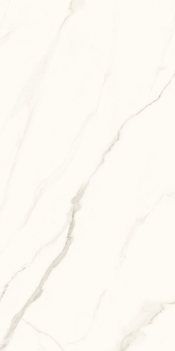 Paradyż Calacatta Mat 59,8x119,8