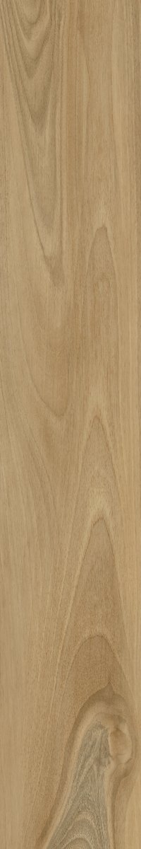 Stargres Dreamwood 20x120