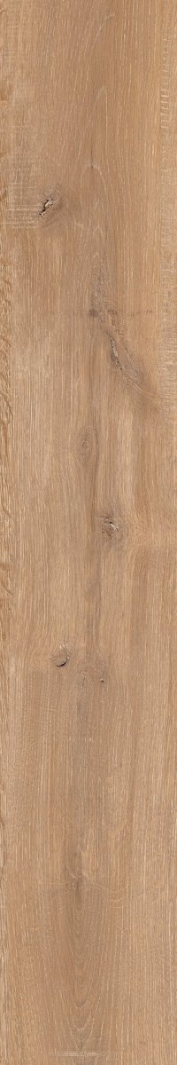 Epicentr Newcastle Gold 19,8x120