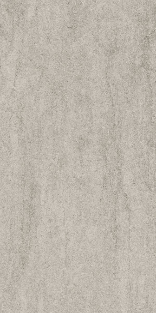 Cerrad Dignity Light Grey 119,7x59,7